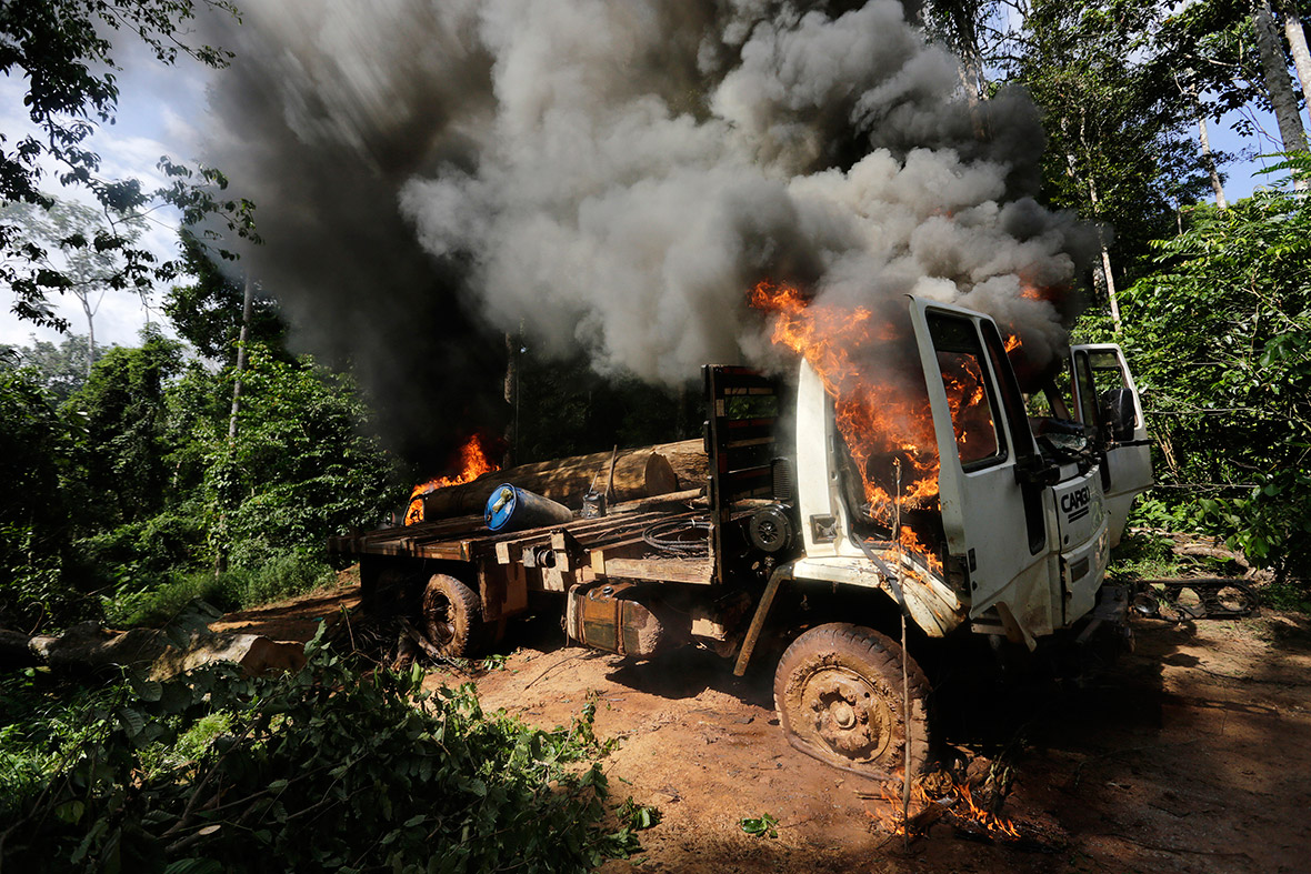 brazil loggers vehicle